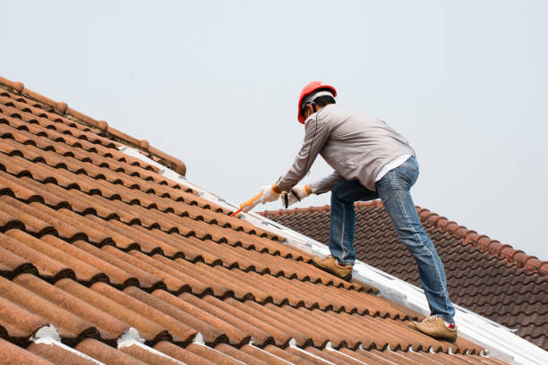 Best Roof Maintenance and Cleaning  in Pflugerville, TX